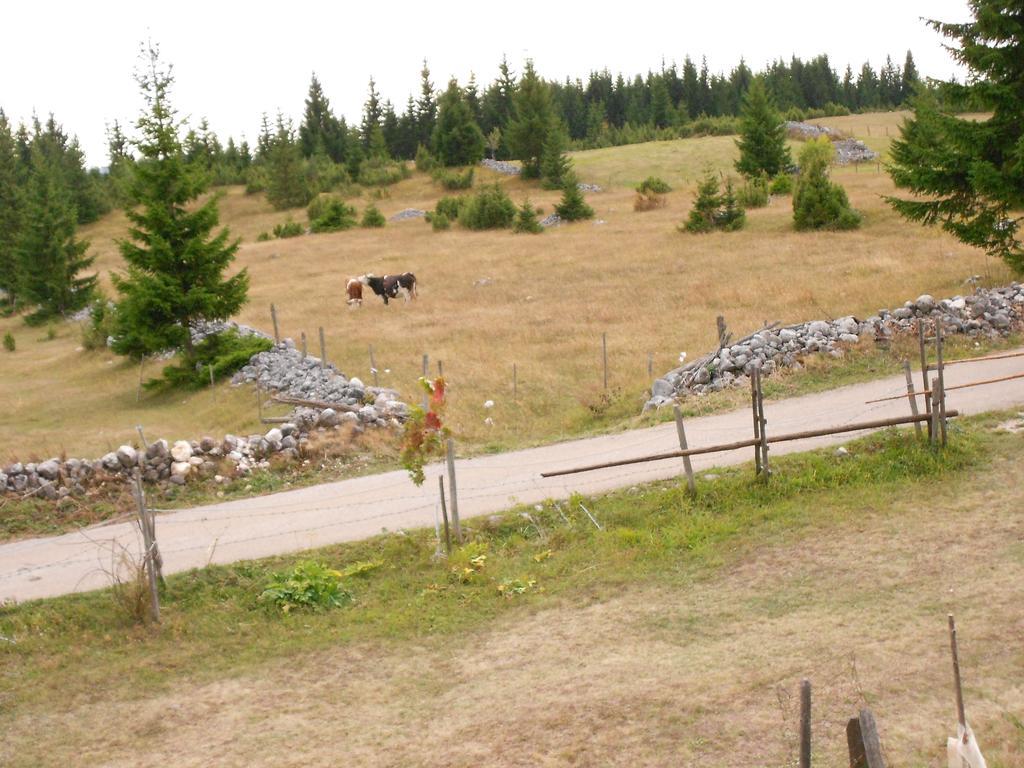 Zabljak Izdavanje Kuce Екстериор снимка